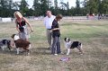 IMG_0411