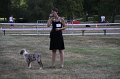 IMG_0415
