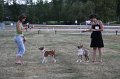 IMG_0417
