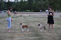 IMG_0418