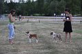 IMG_0419