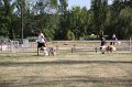 IMG_0467