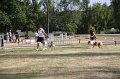 IMG_0469