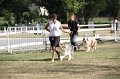 IMG_0471