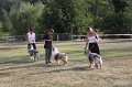 IMG_0475