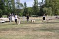 IMG_0482