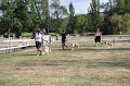 IMG_0484