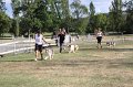 IMG_0486