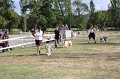 IMG_0487