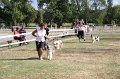 IMG_0490