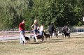 IMG_0526