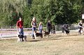 IMG_0527