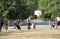 IMG_0528