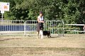 IMG_0529