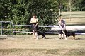 IMG_0530