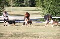 IMG_0532