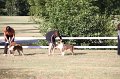 IMG_0533