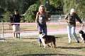 IMG_0538