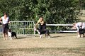 IMG_0547
