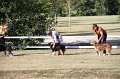 IMG_0549