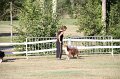 IMG_0554