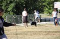 IMG_0556
