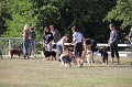 IMG_0559