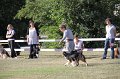 IMG_0561