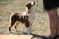 IMG_0565
