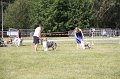 IMG_1095