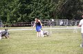 IMG_1099