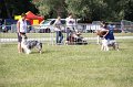 IMG_1100