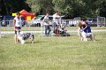 IMG_1101