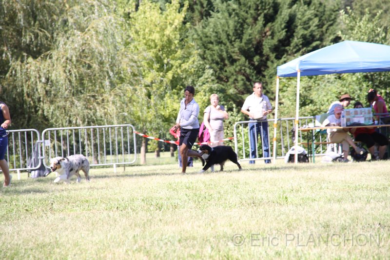 IMG_0596.JPG