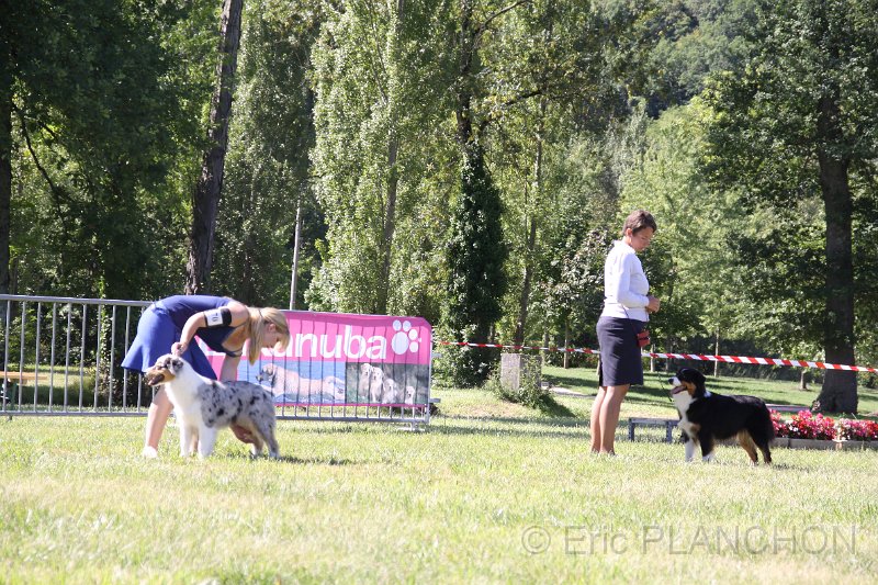 IMG_0611.JPG