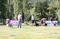 IMG_0613