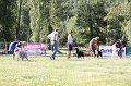 IMG_0614
