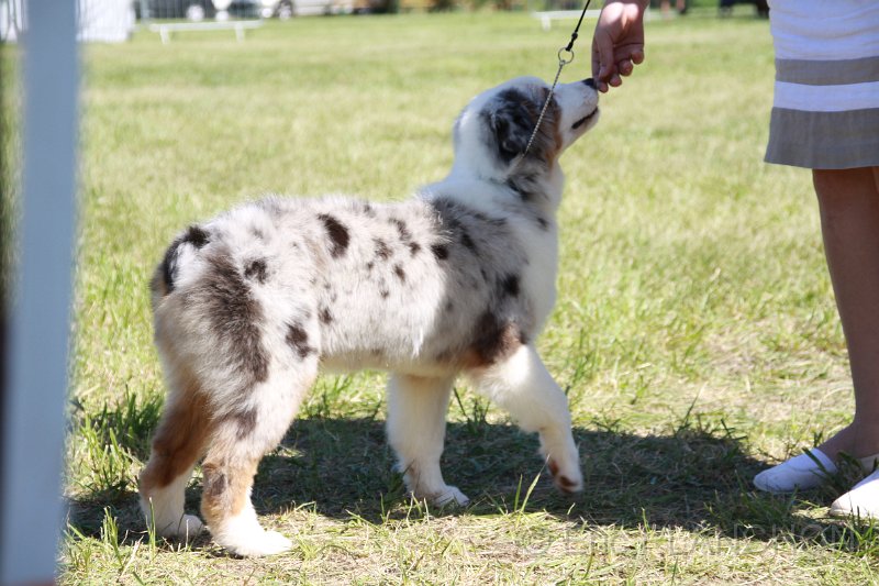 IMG_0925.JPG