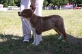 IMG_0888