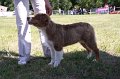IMG_0889