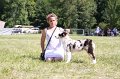 IMG_0905