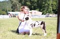 IMG_0909