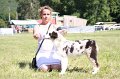 IMG_0914