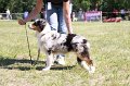 IMG_0916
