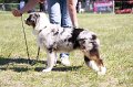IMG_0917