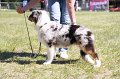 IMG_0918