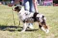 IMG_0919