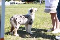 IMG_0923
