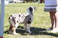 IMG_0924