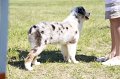 IMG_0931